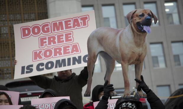 Carteles contra el consumo de carne de perro en Corea del Sur.