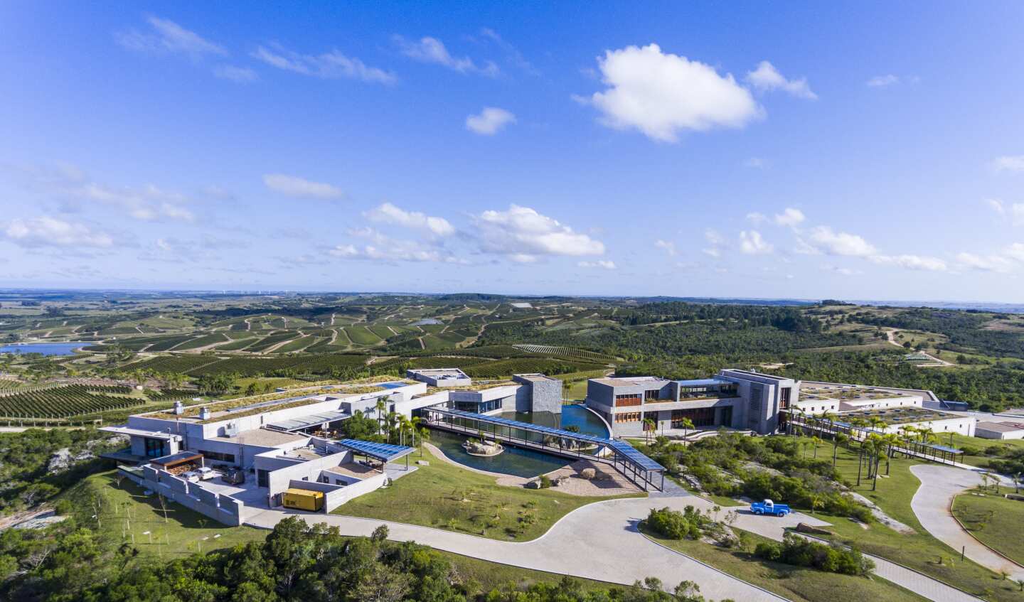 Bodega Garzón