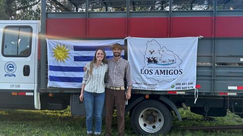 Cabaña Los Amigos exporta 29 ejemplares Texel a Argentina