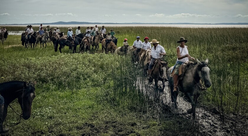Cabalgata 2025 3.jpg