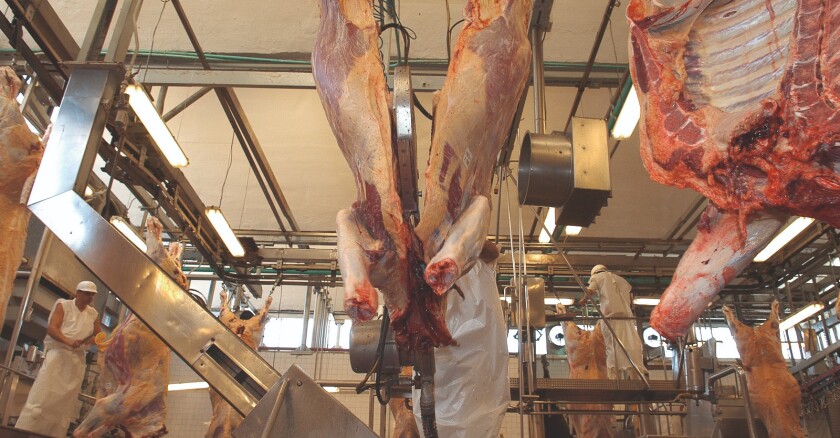 Faena de vacunos en frigorífico. Foto: archivo El País.