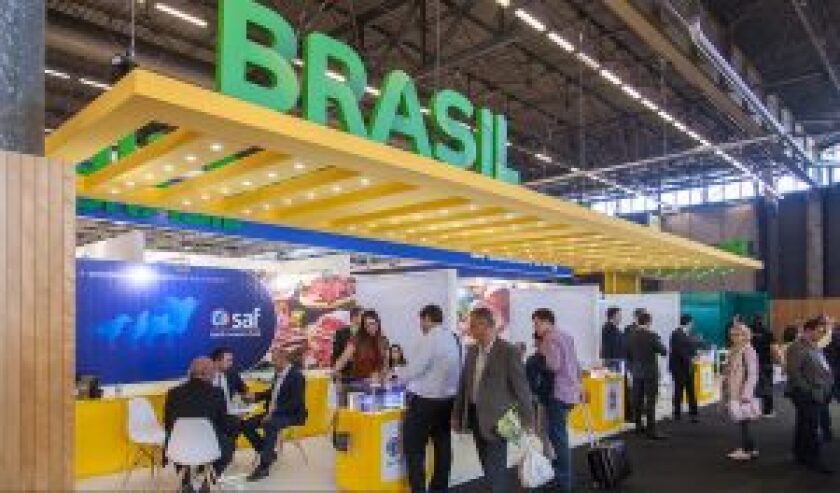 brasil-300x176.jpeg