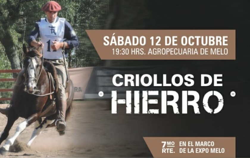 sin-titulo.jpg