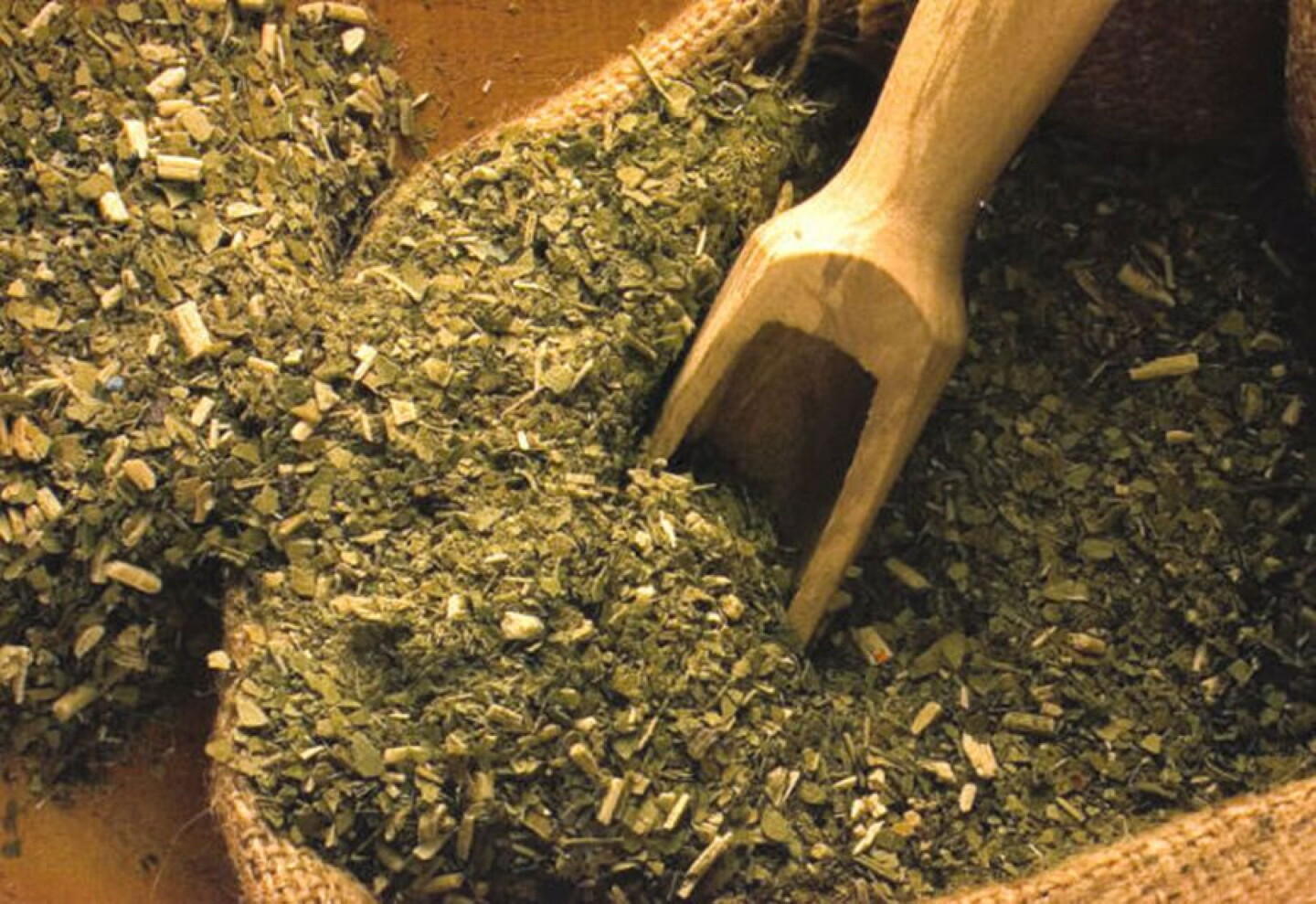Yerba mate