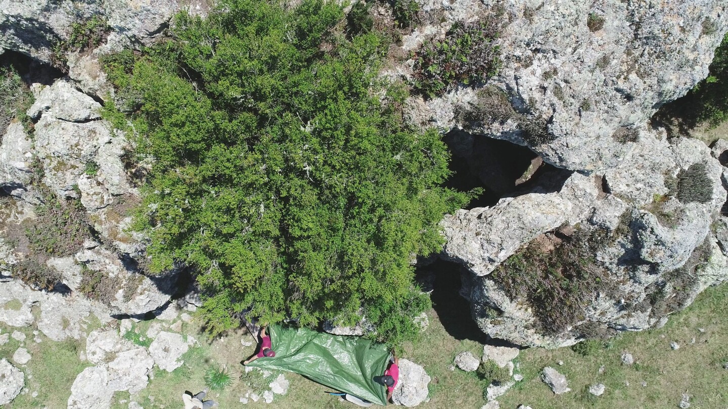 Cueva amarilla en Lavalleja.jpg