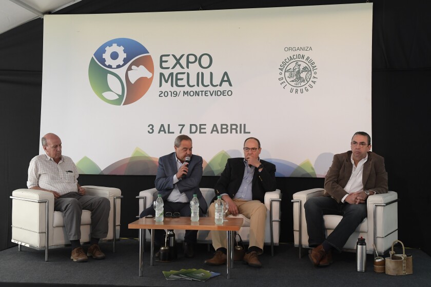 Expo Melilla 2019