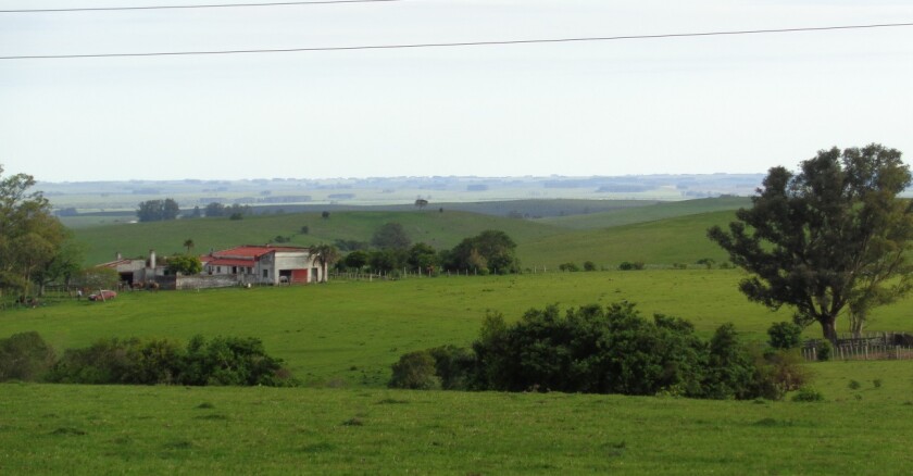 agroclaro campo