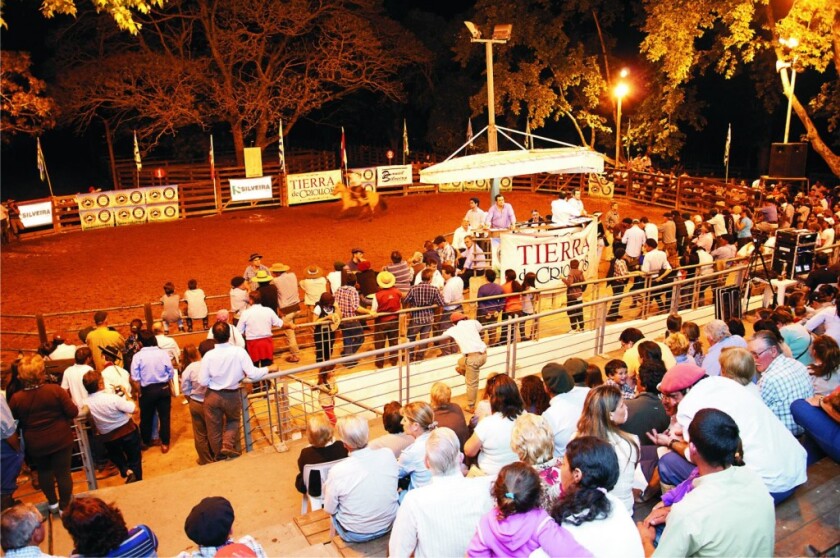 TIERRA DE CRIOLLOS
