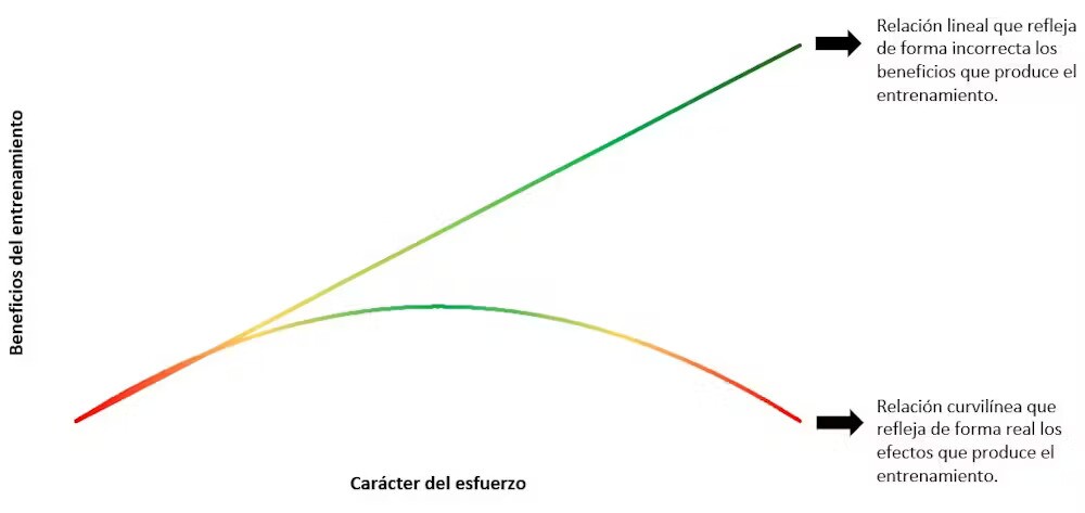 Esquema entrenamiento2.jpg