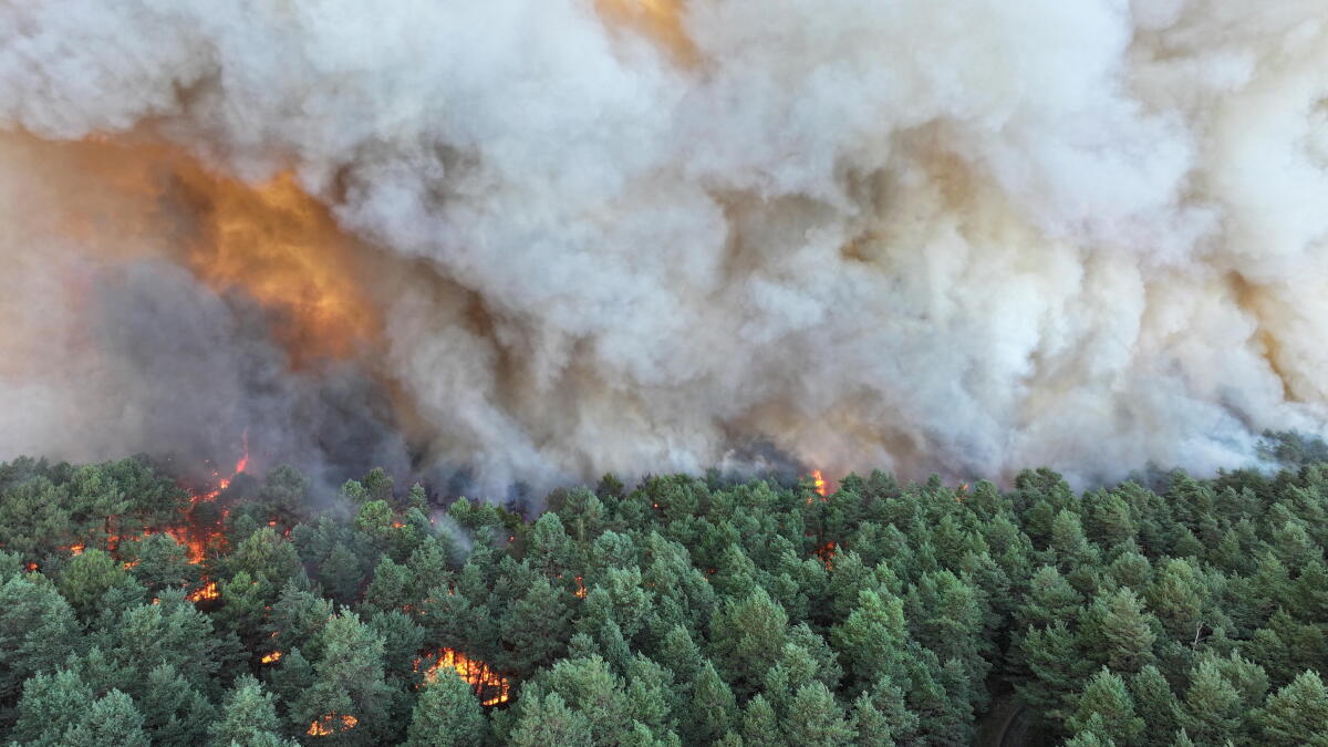 El cuerpo de bomberos muestra un incendio que arrasa el bosque de Fontainebleau