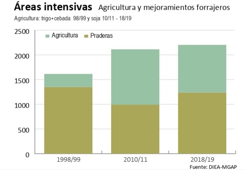 areas-intensivas.jpg