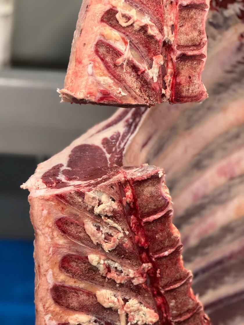 carne vacuna