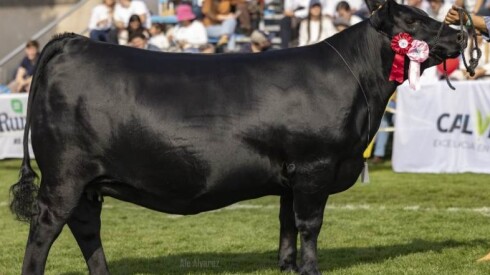 Foto Previa La Estiria.jpg