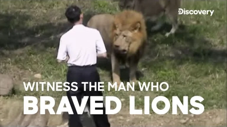 León ataca a un hombre