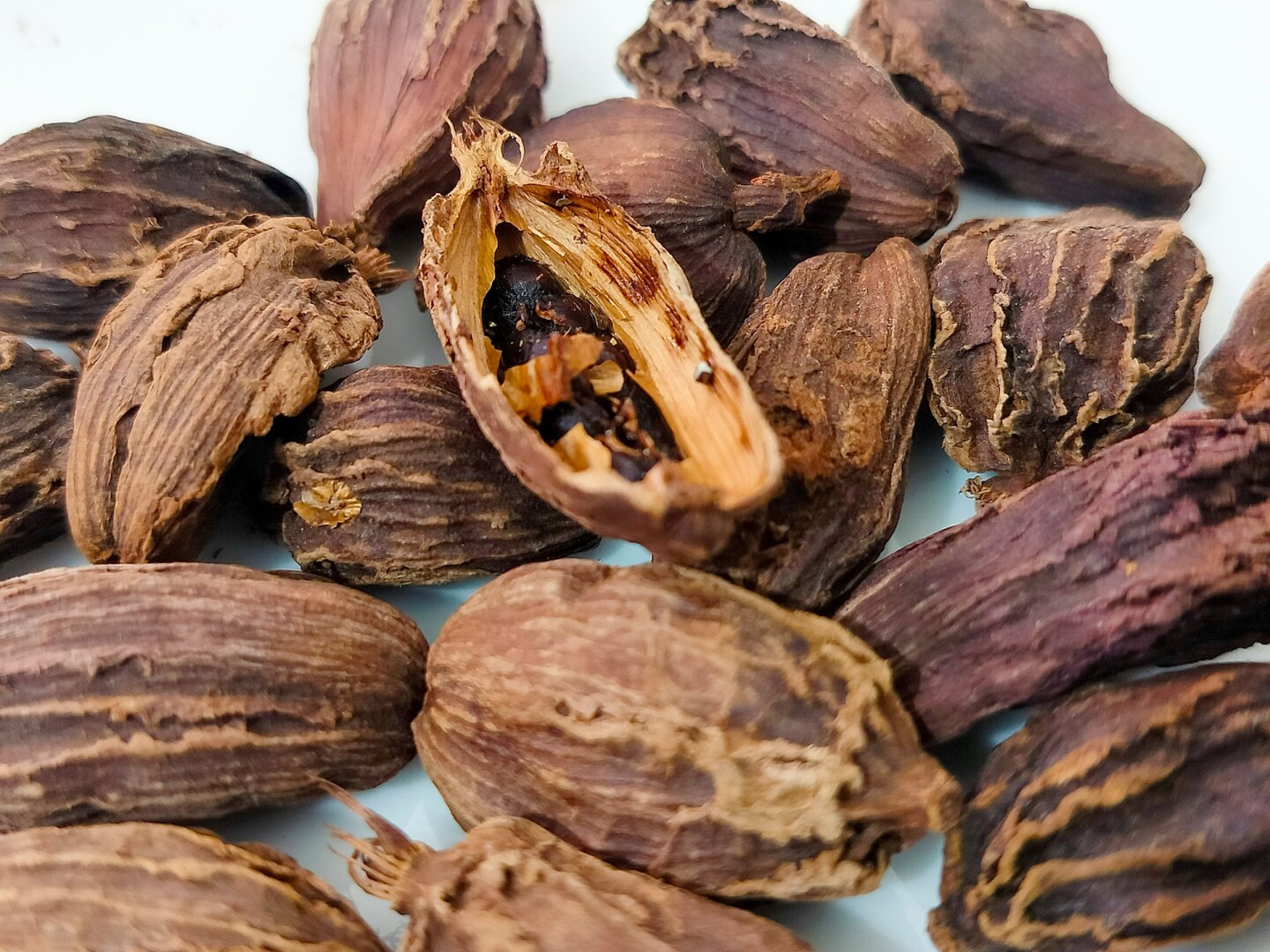 Cardamomo negro.jpg