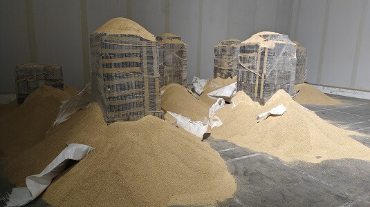 Cargamento de cocaína camuflada en harina de soja incautado en Portugal