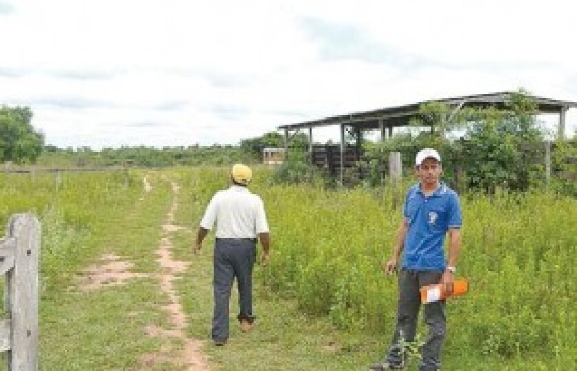 La inversión podría incrementarse a 100 millones de dólares. | Foto: Última Hora.