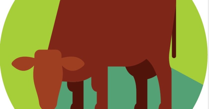 Agro para principiantes vacunos