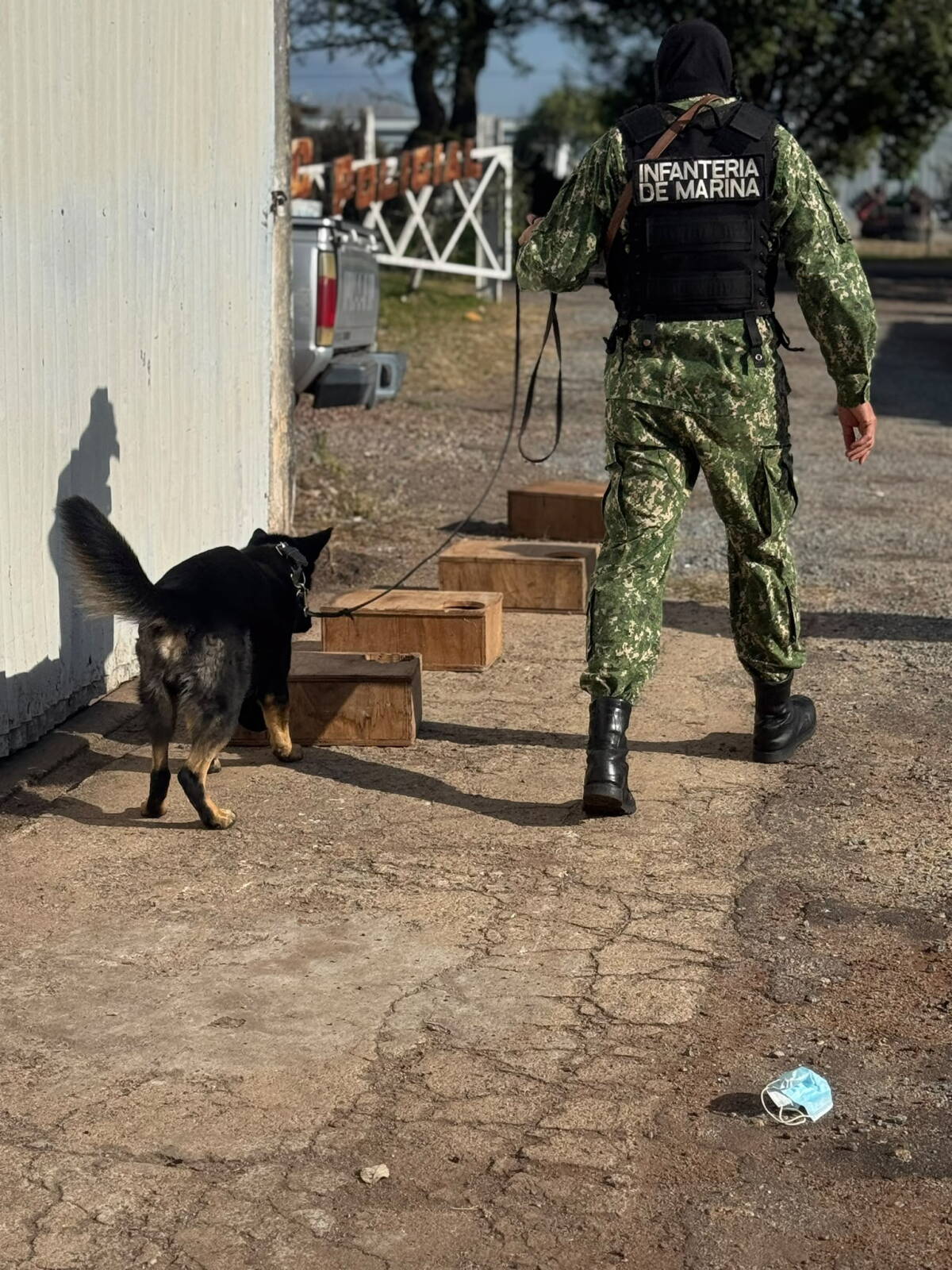 Infante de Marina junto a un perro detector.