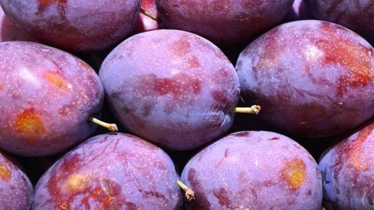 Ni moho ni químicos: el motivo natural por el que las ciruelas tienen una capa blanca en la piel