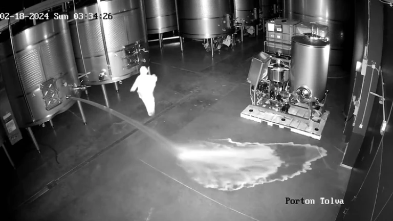 Delincuente ingresó a una bodega y derrochó más de 60 mil litros de vino