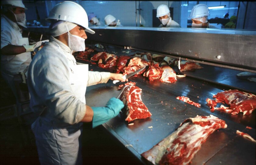 Carne vacuna en frigorífico. Foto: http://politicaysociedad.com.ar/