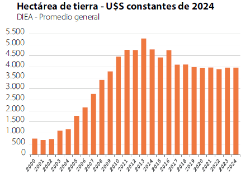 Hectárea de tierra