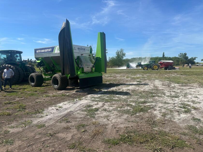 Muestra activa de encalado en Dolores.