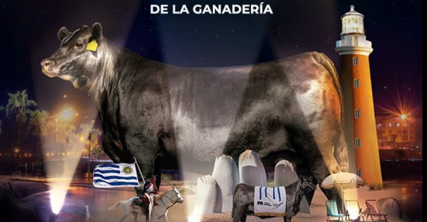 20a Gala Angus