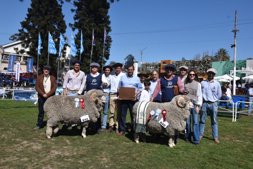 Grandes Campeones Poll Merino Australiano Rural del Prado 2025.