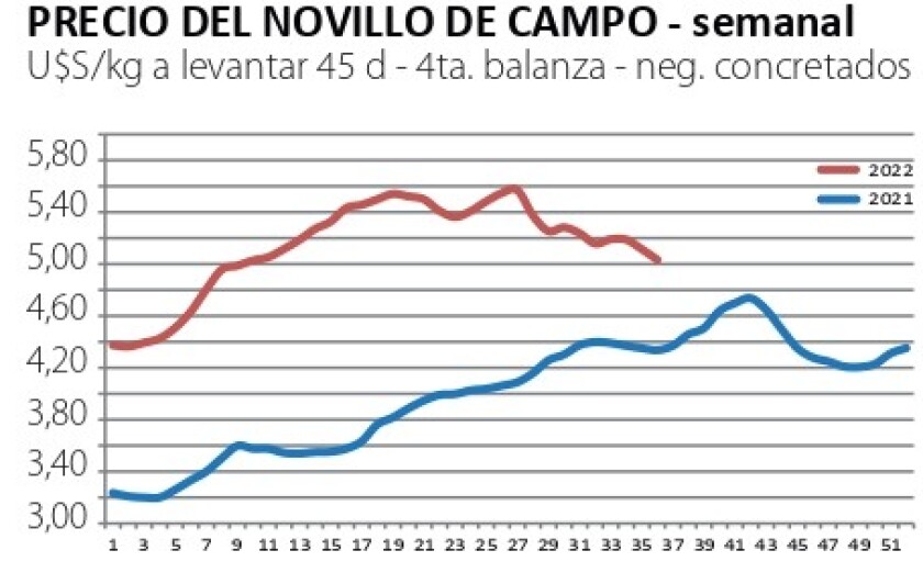 precio del novillo.jpg
