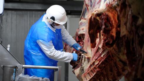 Frigorífico, carne vacuna