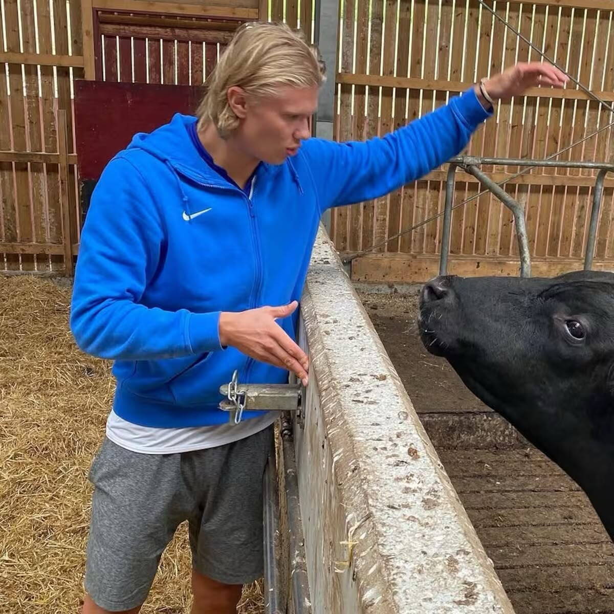 Erling Haaland.