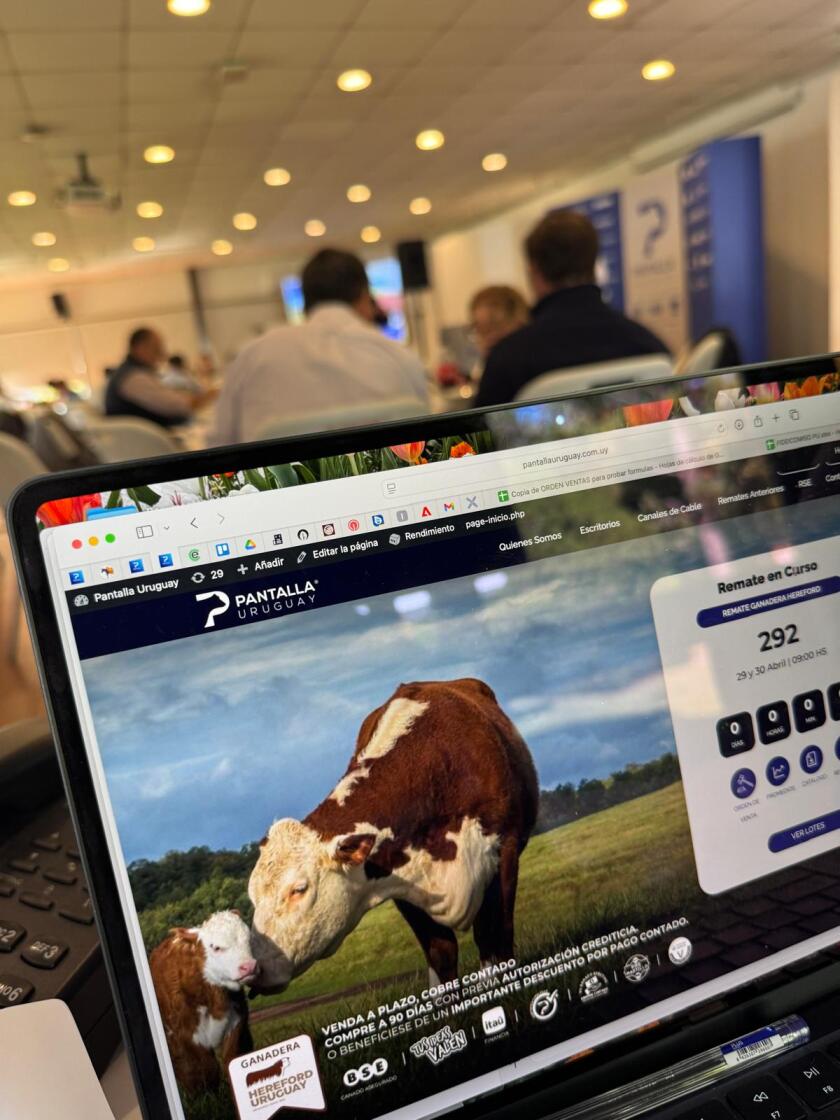 Imagen de WhatsApp 2025-04-30 a las 12.53.06_22eb8cbb.jpg