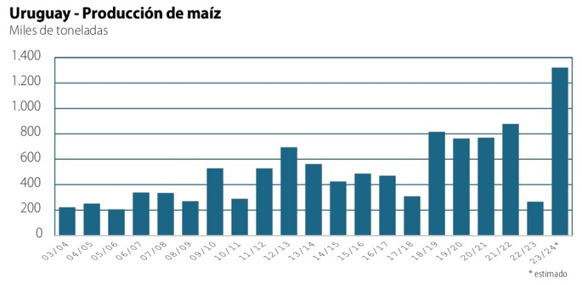 Gráfica Nico.jpg