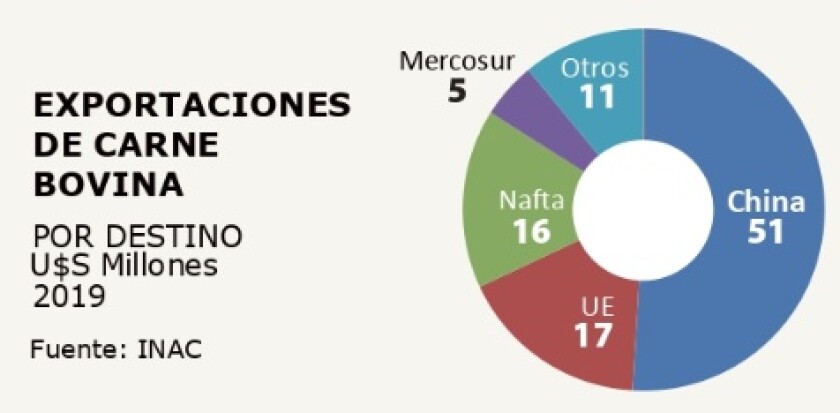 exportaciones-de-carne-bovina.jpg