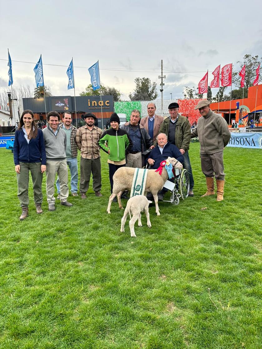 Gran Campeon de pedigree de Oscar Latourrette