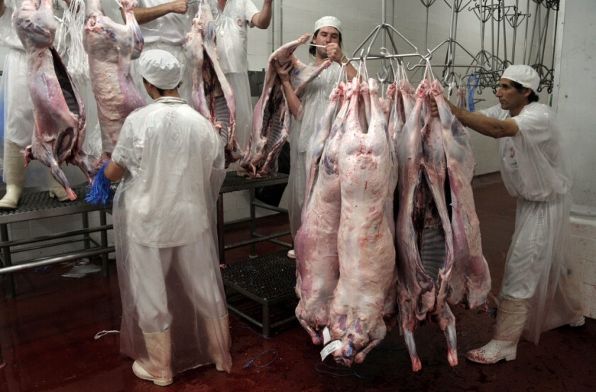 CARNE
