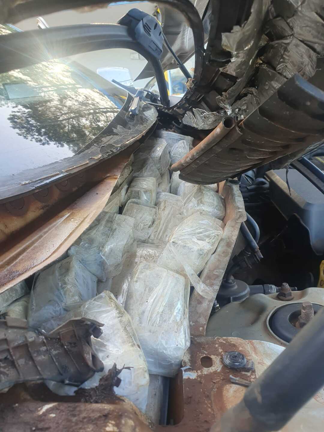 En total se encontraron 139 kilos de marihuana prensada. Foto: Policía de Rivera