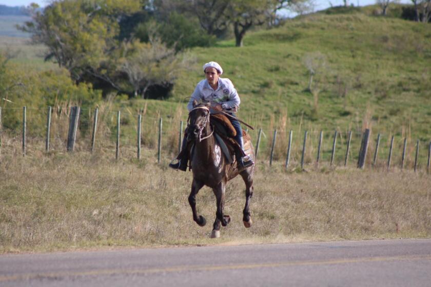 del-campo.jpg