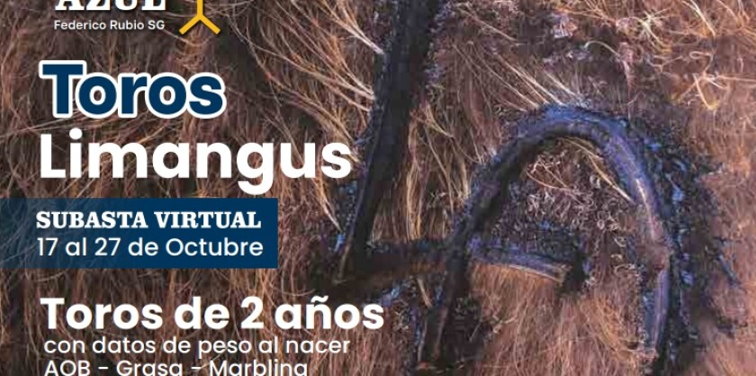 Foto previa Loma Azul Limangus.jpg
