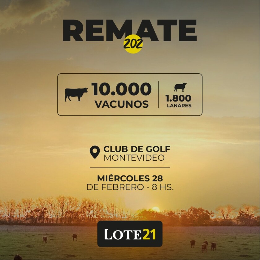 Previa Lote 21 febrero 24.jpg