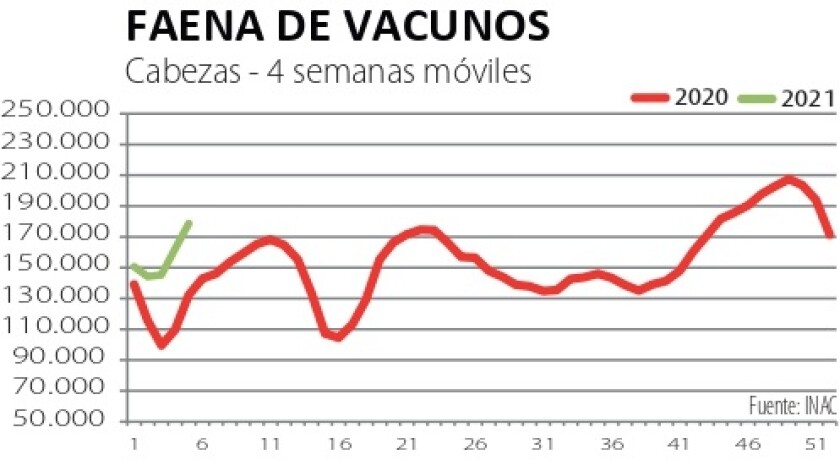 faena-de-vacunos.jpg