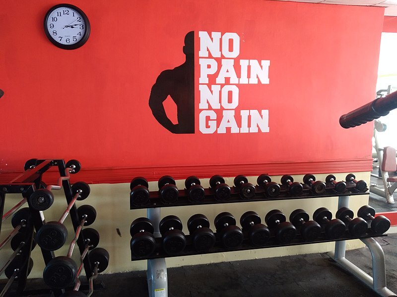 Lema No pain no gain.jpg