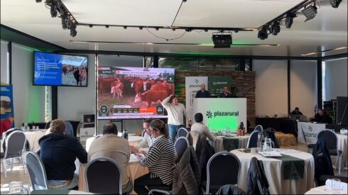 Remate de Plaza Rural