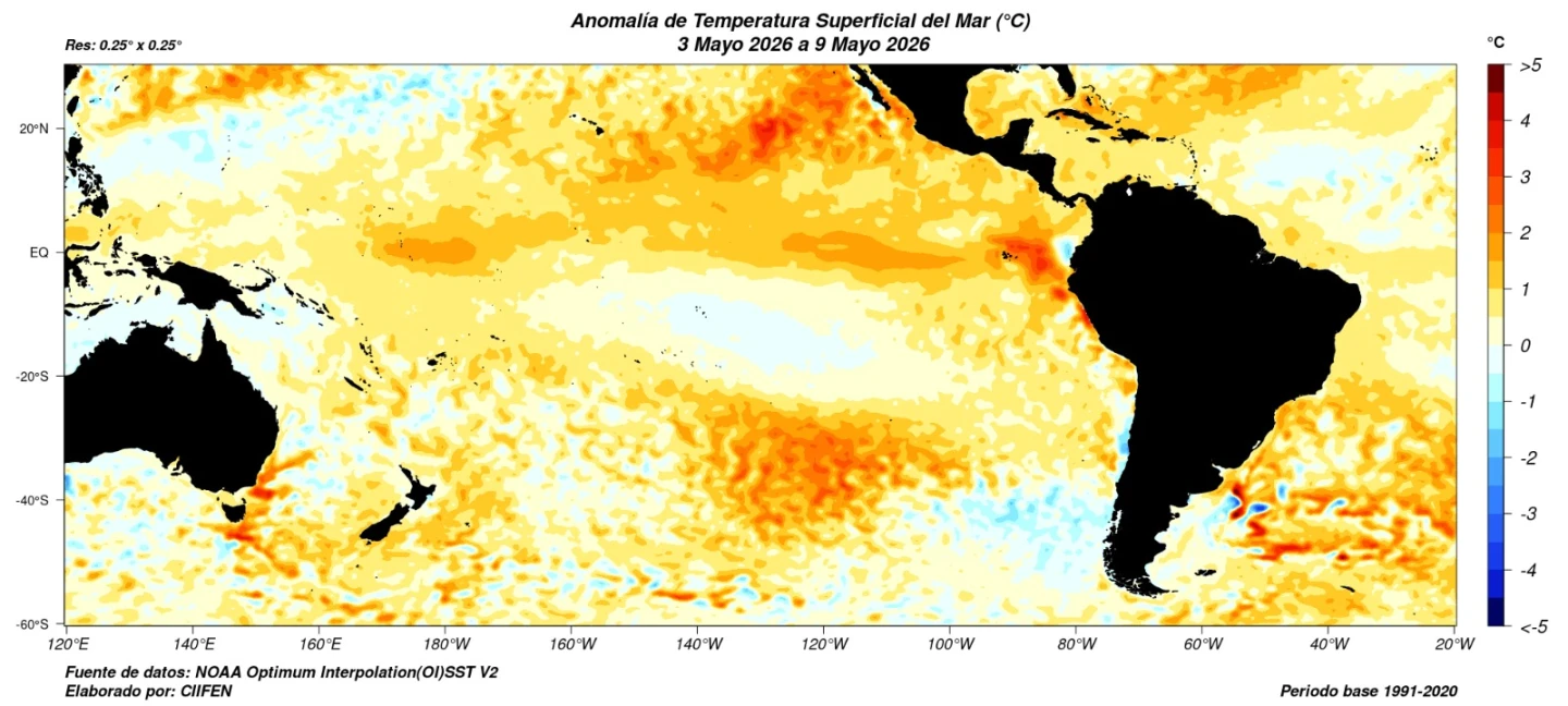 Anomalías cálidas de temperatura superficial del mar en el Pacífico Ecuatorial.