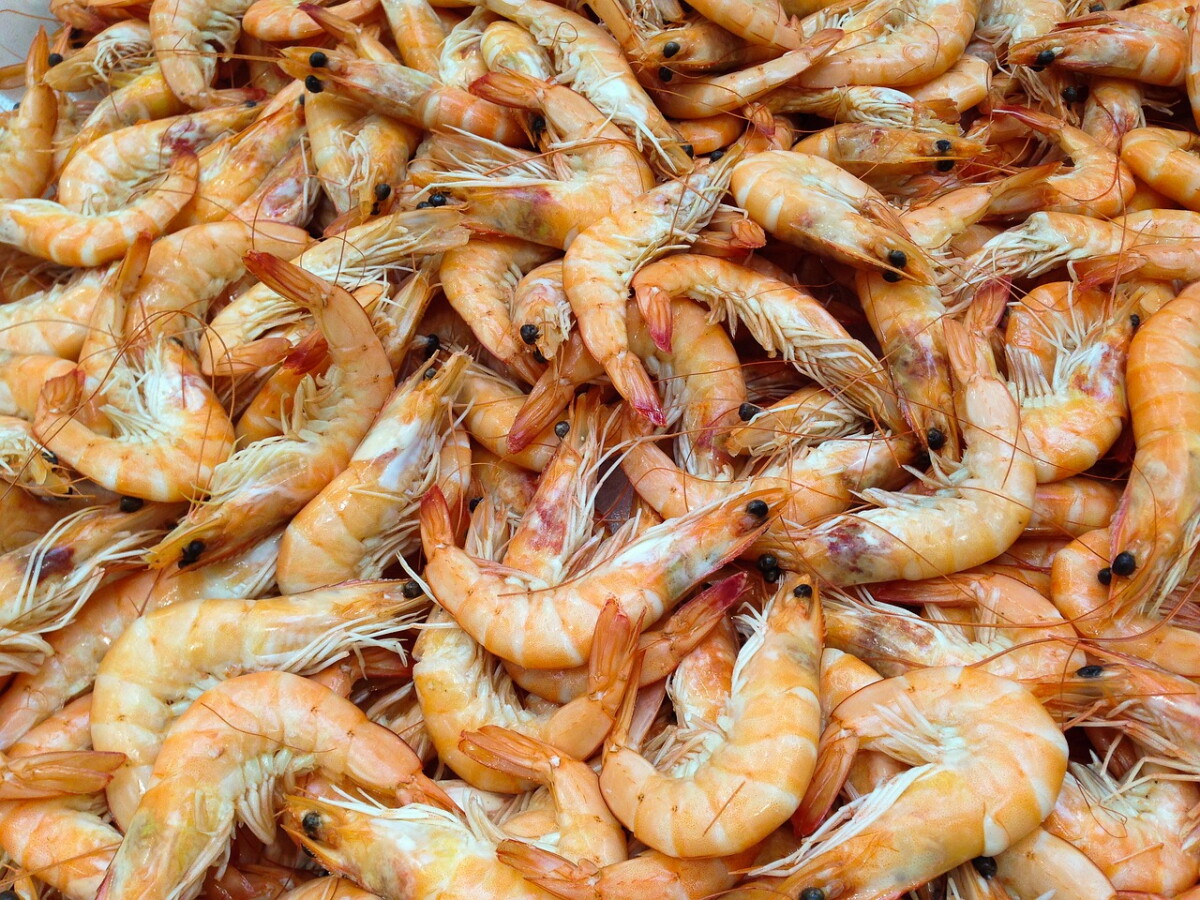 Camarones.