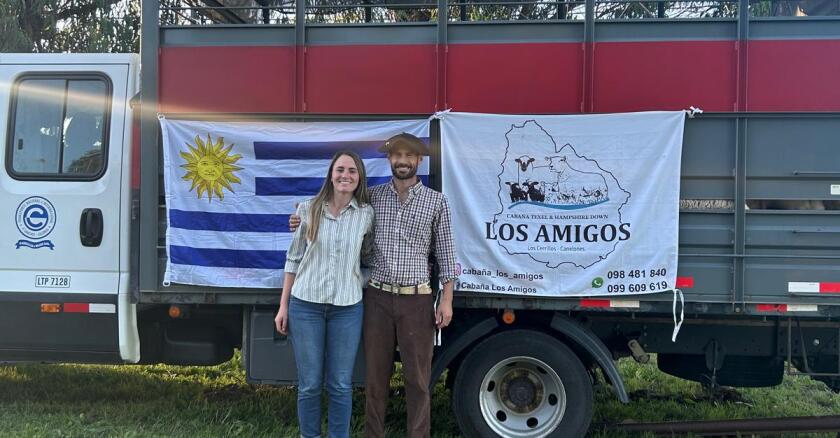 Cabaña Los Amigos exporta 29 ejemplares Texel a Argentina