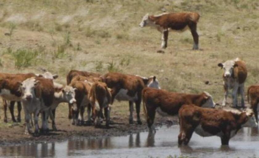 Rurales - El País