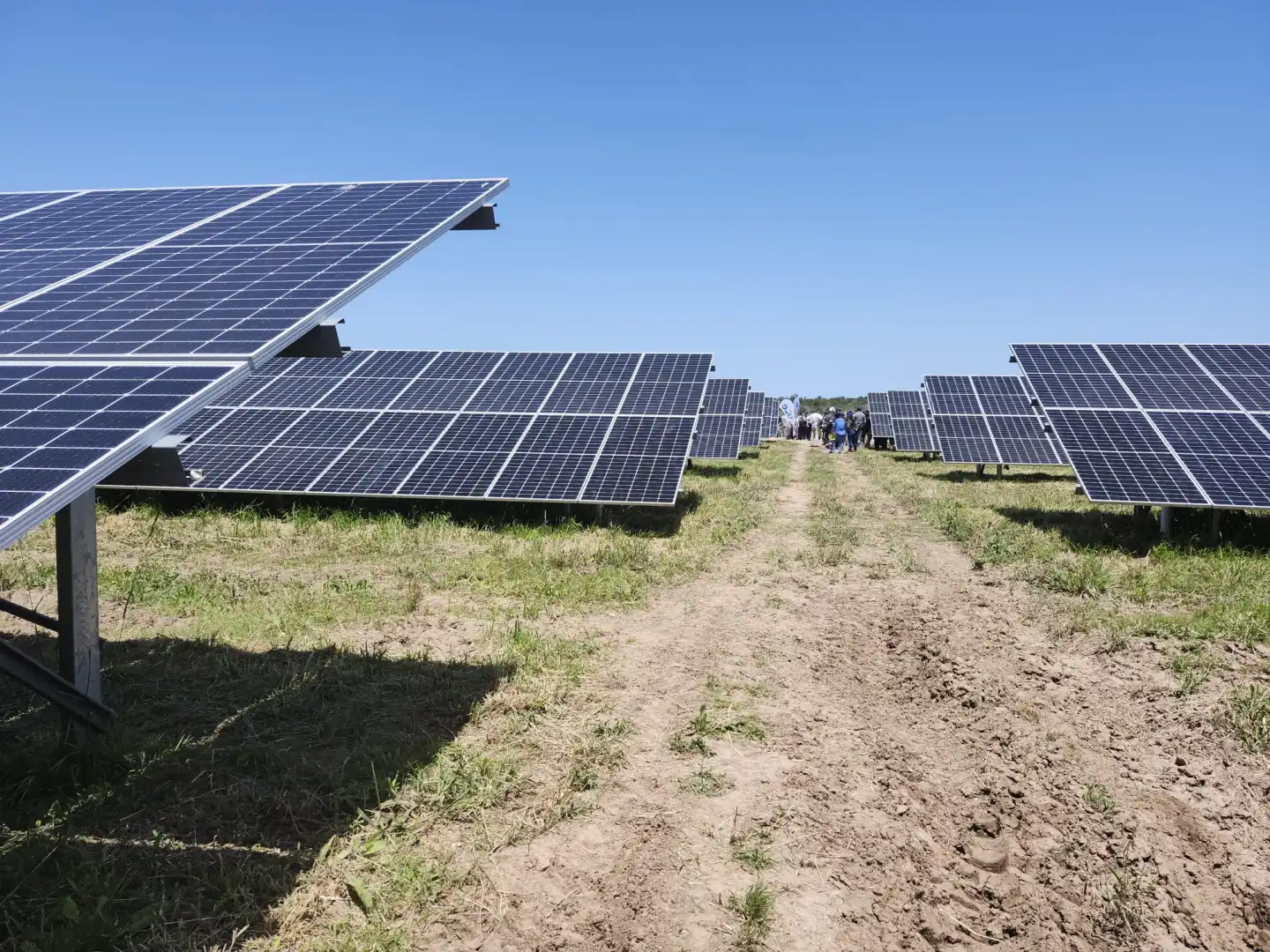 Paneles solares de Parque Fotovoltacio Punta del Tigre, San José.jpg